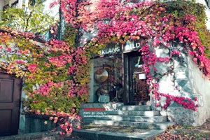 都灵主场不敌对手，球队寻求突破