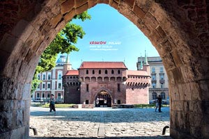 韩国球员在欧洲联赛中狂揽胜利，实力超群