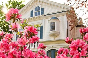 法国强势摘下胜利，领先积分，小组第一无忧