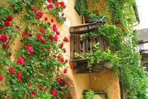 北美篮球联赛全明星赛气氛炽热，明星耀眼