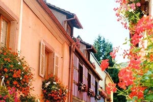 沃尔夫斯堡主场碾压对手，欧冠资格稳固