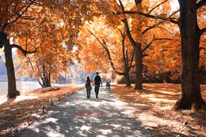 法国强势摘下胜利，领先积分，小组第一无忧