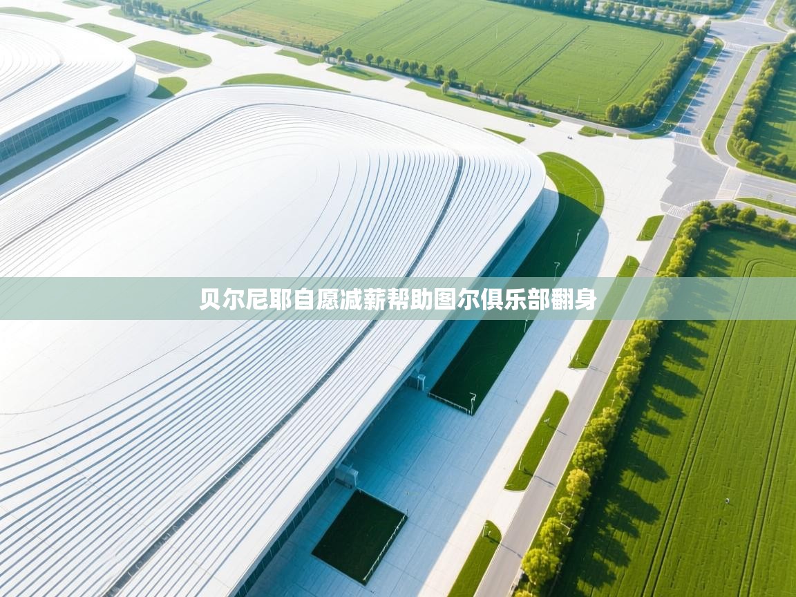 贝尔尼耶自愿减薪帮助图尔俱乐部翻身 第1张