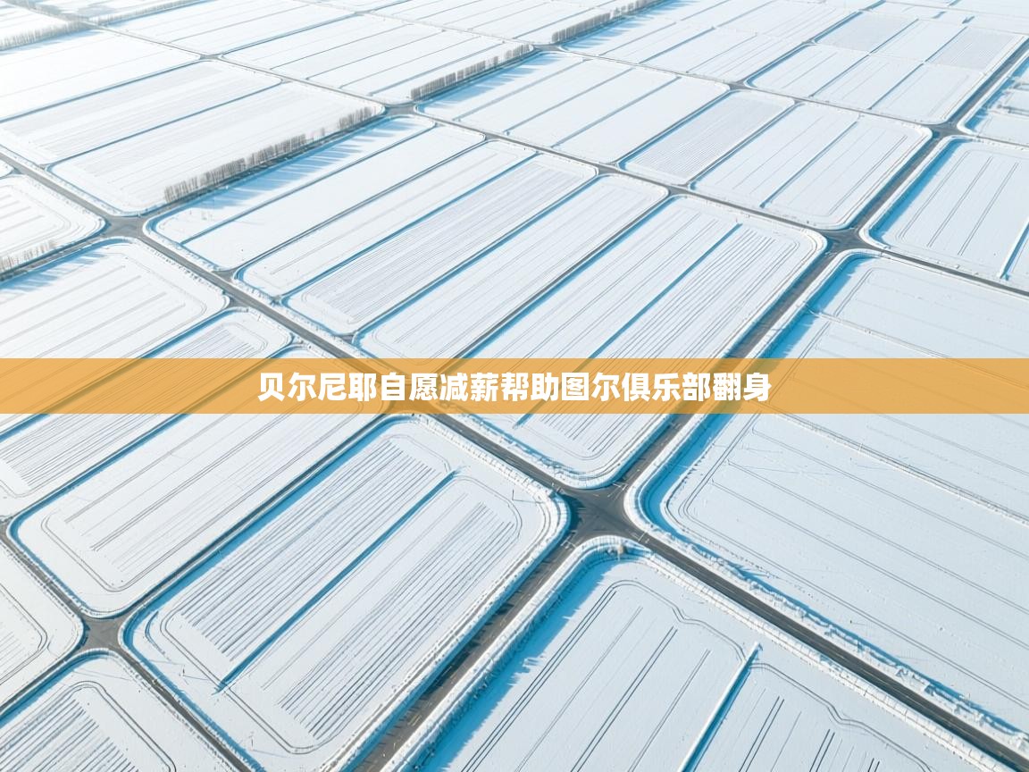 贝尔尼耶自愿减薪帮助图尔俱乐部翻身 第2张