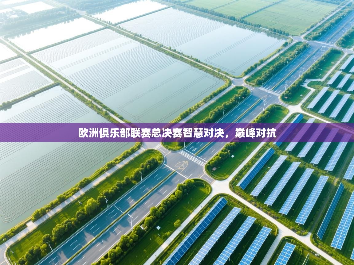 欧洲俱乐部联赛总决赛智慧对决,巅峰对抗 第1张