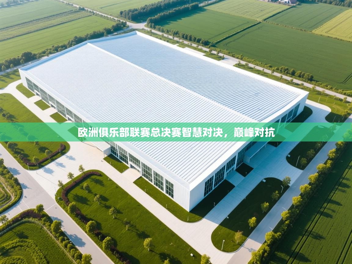 欧洲俱乐部联赛总决赛智慧对决,巅峰对抗 第2张