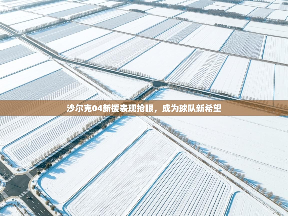 沙尔克04新援表现抢眼,成为球队新希望 第1张