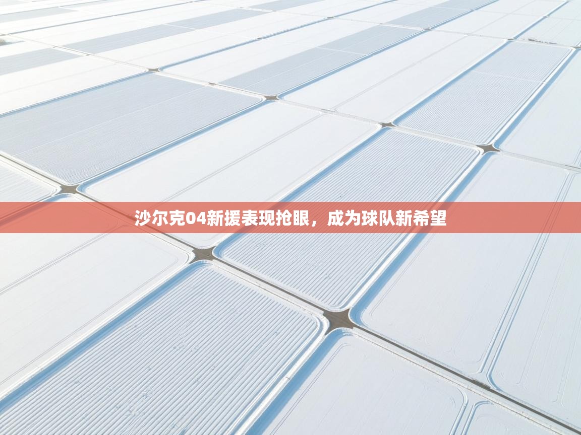 沙尔克04新援表现抢眼,成为球队新希望 第2张