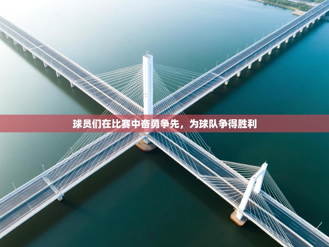 球员们在比赛中奋勇争先,为球队争得胜利 第2张