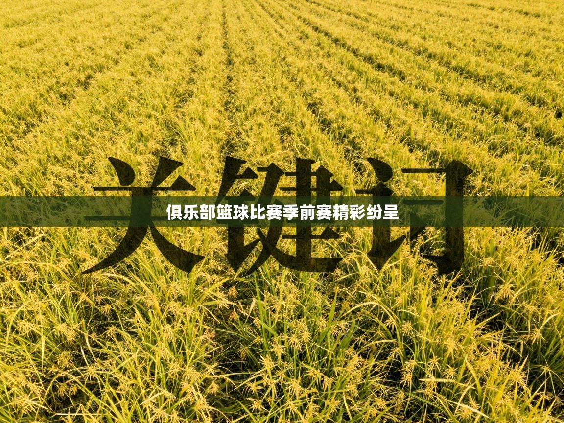 俱乐部篮球比赛季前赛精彩纷呈  第2张