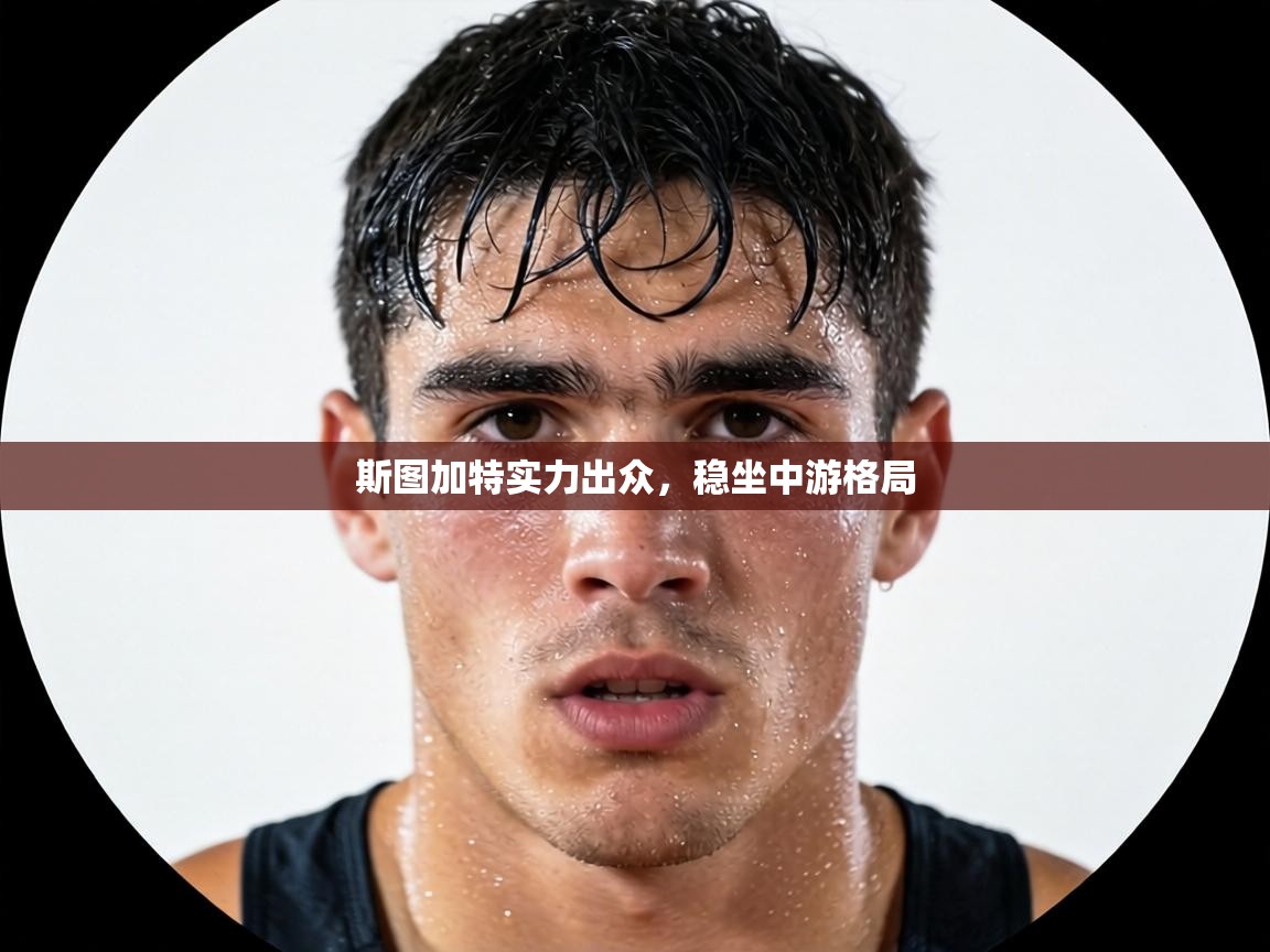 斯图加特实力出众,稳坐中游格局 第1张